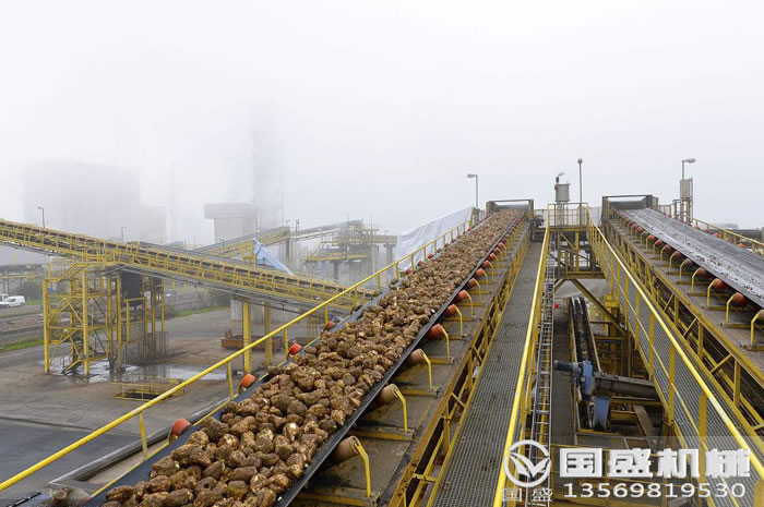 ���z���͎�